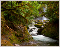 Travels Portfolio