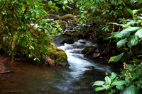 Costa Rica Collection