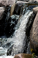 Scenics