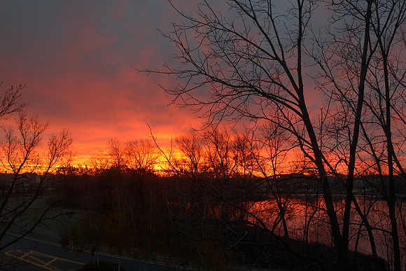 Blazing Skies